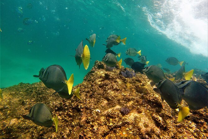 Boat ride to the Arch and Snorkel - Meeting at Breathless and Managing the Timing