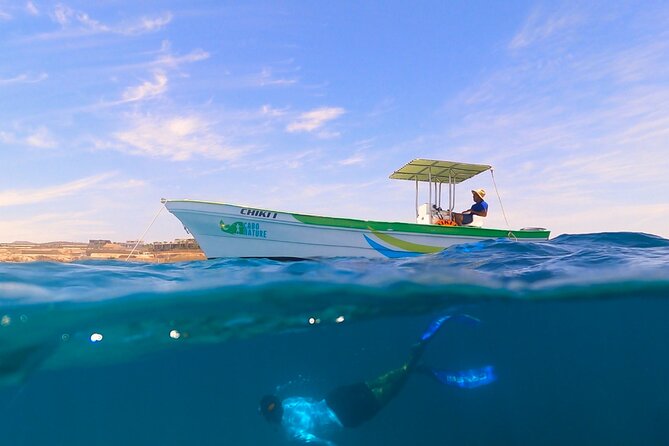 Boat ride to the Arch and Snorkel - Weather, Water Conditions, and Wildlife