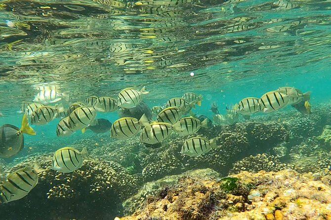 Boat ride to the Arch and Snorkel - Who Will Enjoy This Cabo Snorkeling Trip?
