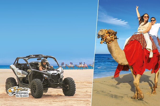 Cabo Adventure: Can-Am X3 Ride & Camel Beach Tour - Key details before you reserve