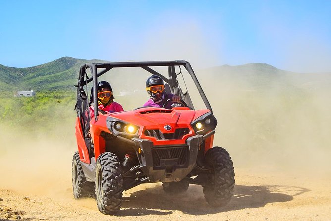 Cabo Adventure: Can-Am X3 Ride & Camel Beach Tour - From your hotel to G-Force Park