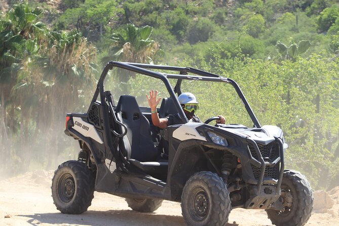 Cabo Adventure: Can-Am X3 Ride & Camel Beach Tour - Meeting camels beside the Pacific