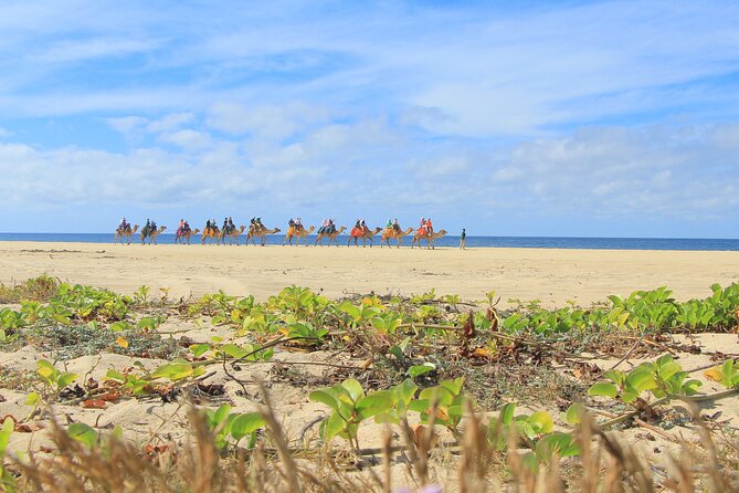 Cabo Adventure: Can-Am X3 Ride & Camel Beach Tour - Is $175 a fair Cabo price?