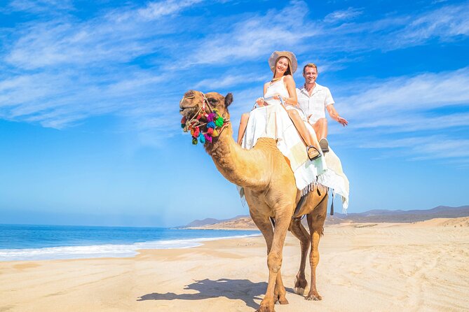 Cabo Adventure: Can-Am X3 Ride & Camel Beach Tour - Group size, sharing, and the private-tour question