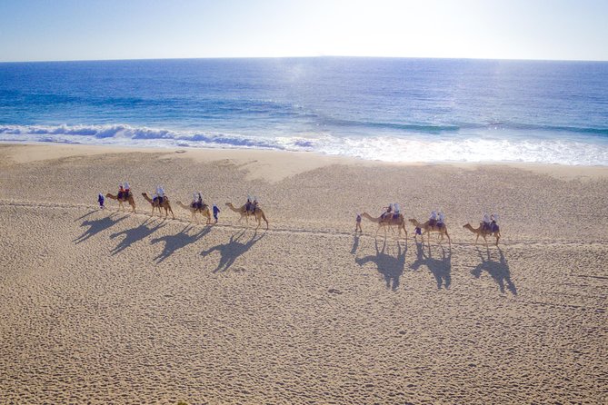Cabo Beach Camel Ride, Mexican Buffet and Tequila Tasting - Key points to know before you book