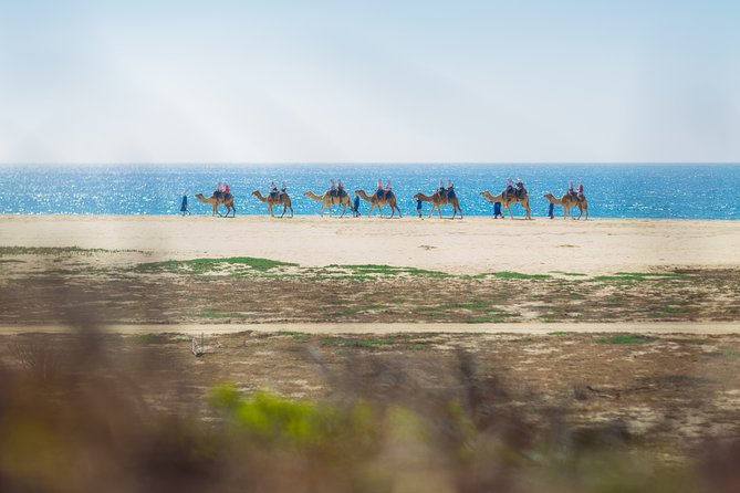 Cabo Beach Camel Ride, Mexican Buffet and Tequila Tasting - Ocean-view lunch at the ranch