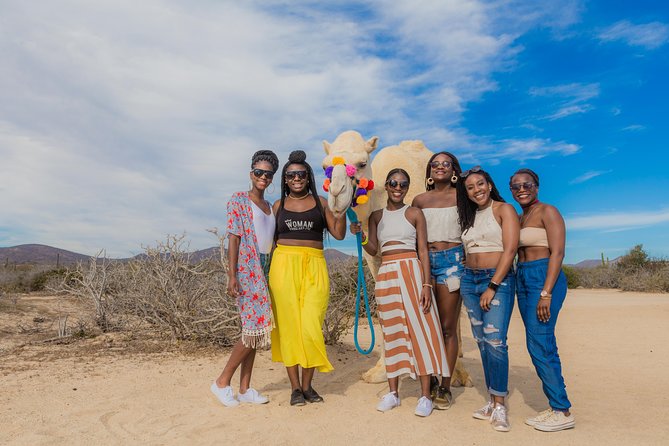 Cabo Beach Camel Ride, Mexican Buffet and Tequila Tasting - Guides can shape the whole afternoon