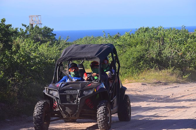 Cabo Candelaria Village Adventure (Quad UTV) - Desert Plants and the Huge Old Cactus