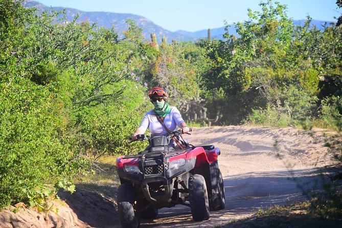 Cabo Candelaria Village Adventure + Tequila Tasting - The coastal views and Baja details