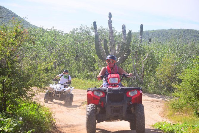 Cabo Candelaria Village Adventure + Tequila Tasting - Pickup, timing, and group size