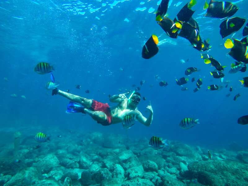 Cabo Catamaran Snorkel: Arch & Santa Maria, Open Bar, Snacks - Is this Cabo catamaran cruise worth booking?