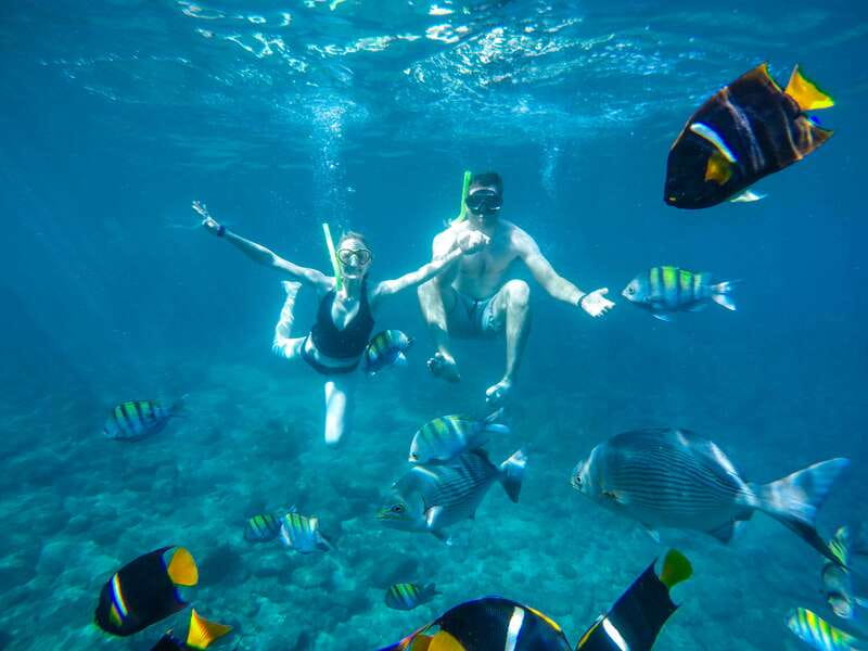 Cabo Catamaran Snorkel: Arch & Santa Maria, Open Bar, Snacks - Sailing from Marina Cabo San Lucas at 12:40 PM