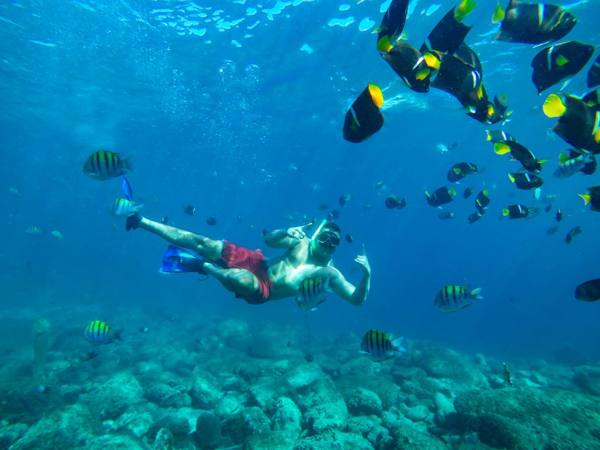 Cabo Catamaran Snorkel: Arch & Santa Maria, Open Bar, Snacks - Practical details that make the day easier