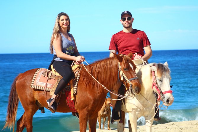 Cabo Desert Off-Road & Beach Horseback Combo and Tequila Tasting - From Cabo hotels to the Baja desert