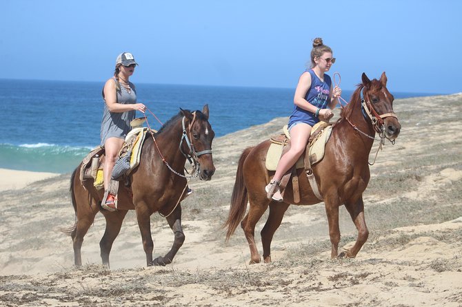 Cabo Desert Off-Road & Beach Horseback Combo and Tequila Tasting - The real cost: $100 is only the starting point