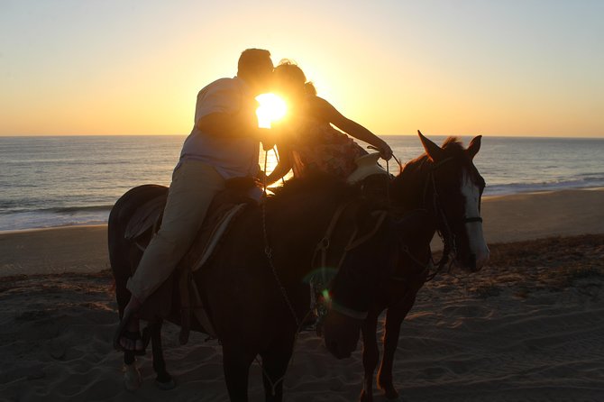 Cabo Desert Off-Road & Beach Horseback Combo and Tequila Tasting - Who will enjoy this Cabo excursion