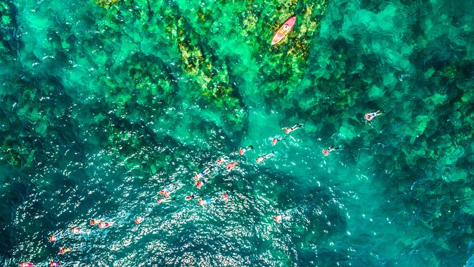 Cabo Escape Breakfast Snorkel Cruise - Who will enjoy this Cabo cruise most?