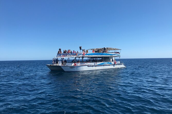 Cabo Escape Snorkel Fun Cruise - What the $99 price really covers