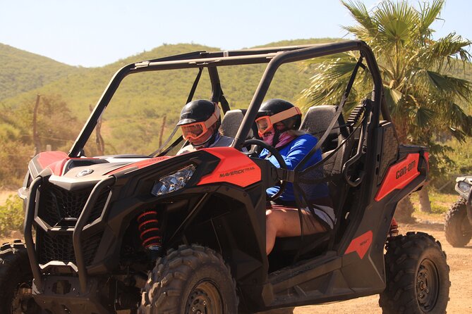 Cabo Migrino Beach & Desert UTV Tour and Tequila Tasting - Choosing the right UTV for your group