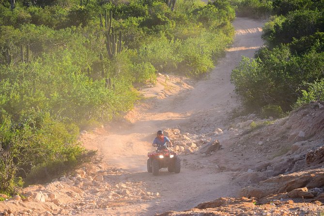 Cabo Original Real Baja 1000 Tour (Single ATV) - Private Riding Versus a Large Group