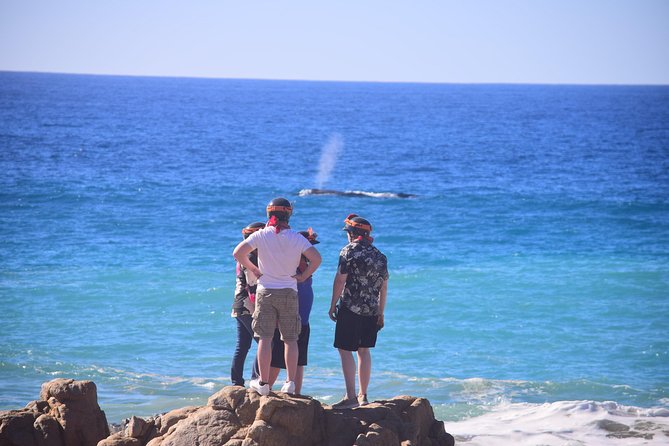 Cabo Original Real Baja 1000 Tour (Single ATV) - What Is Included, and What Is Not