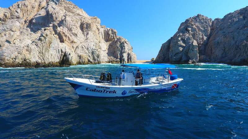 Cabo San Lucas: 2.5-Hour Whale Watching Tour - Is $109 a Fair Price?