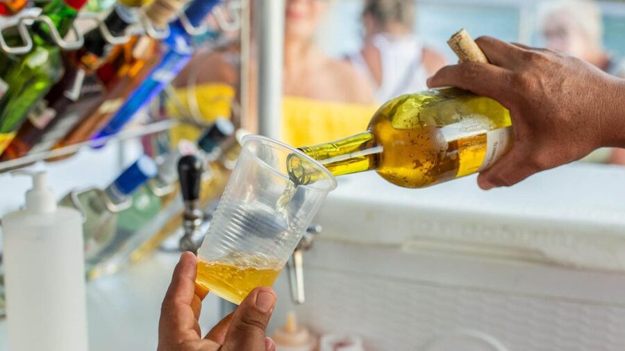 Cabo San Lucas: 2 Hour Sunset Cruise with Food and Wine - Who should book this cruise?