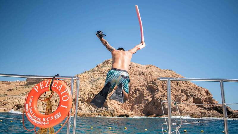 Cabo San Lucas: 4-Hour Snorkeling Cruise with Open Bar - The best parts of the cruise at a glance
