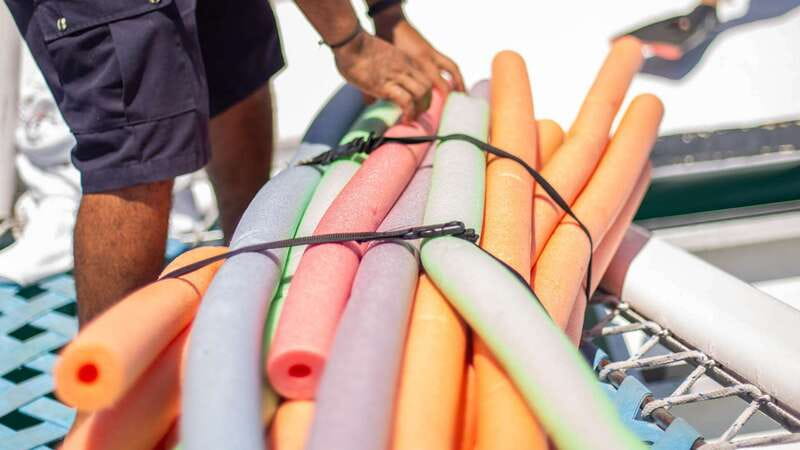 Cabo San Lucas: 4-Hour Snorkeling Cruise with Open Bar - What the $128 price really covers