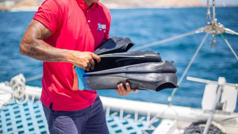 Cabo San Lucas: 4-Hour Snorkeling Cruise with Open Bar - Practical comfort and who should book