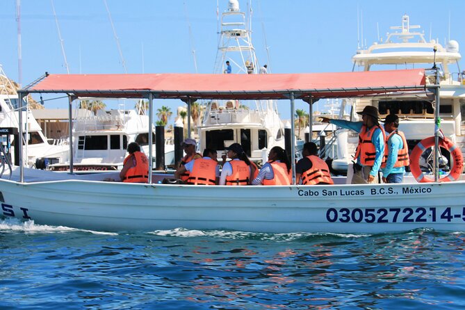 Cabo San Lucas Arc Group Tour in Glass Bottom Boat - What the glass-bottom boat is actually like