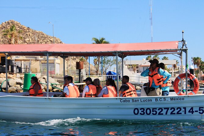 Cabo San Lucas Arc Group Tour in Glass Bottom Boat - The value of $20.86