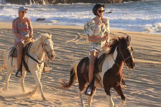 Cabo San Lucas Beach and Desert Horseback Ride - What the horses and equipment mean for you