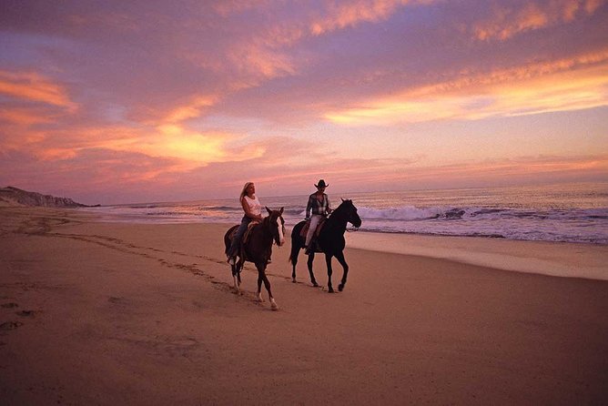 Cabo San Lucas Beach and Desert Horseback Ride - Pickup, timing, and the extra fees