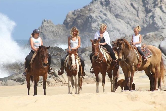 Cabo San Lucas Beach and Desert Horseback Ride - FAQ