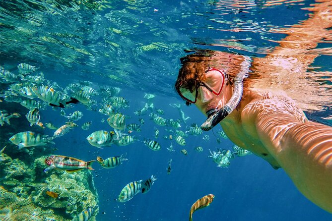 Cabo San Lucas Boat Tour with Snorkeling, Open Bar, and Lunch - Up the Sea of Cortez to Playa El Chileno