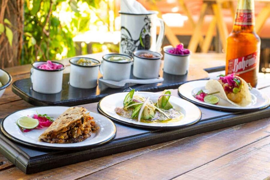 Cabo San Lucas: Cabo Foodie Grand Tour - Stop one: seafood on an open-air terrace