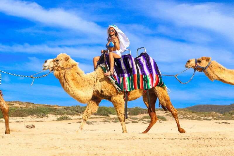 Cabo San Lucas: Camel Ride & Off-Road UTV Combo Adventure - The photo rule and the real cost of memories