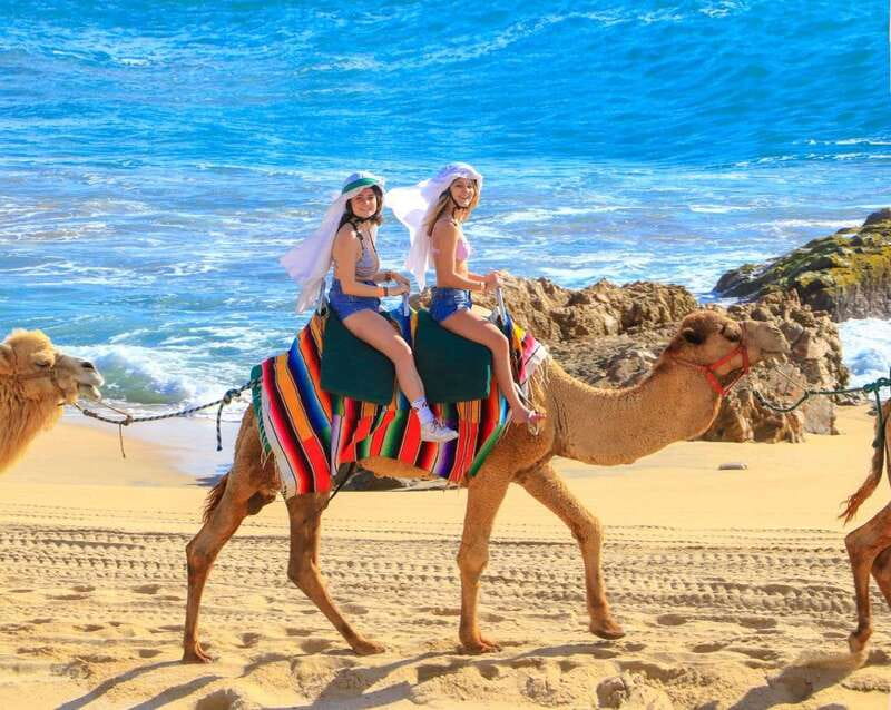 Cabo San Lucas: Camel Ride & Off-Road UTV Combo Adventure - Guide quality and how it shapes the day