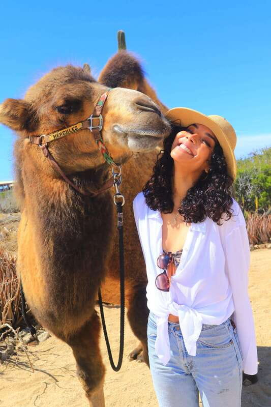 Cabo San Lucas: Camel Ride & Off-Road UTV Combo Adventure - Who should book this Cabo adventure
