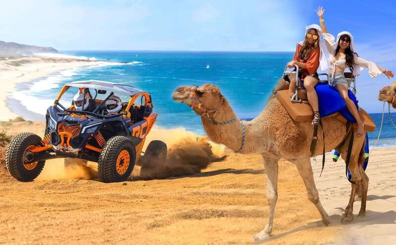 Cabo San Lucas: Camel Ride & Off-Road UTV Combo Adventure - From hotel pickup to the camel beach