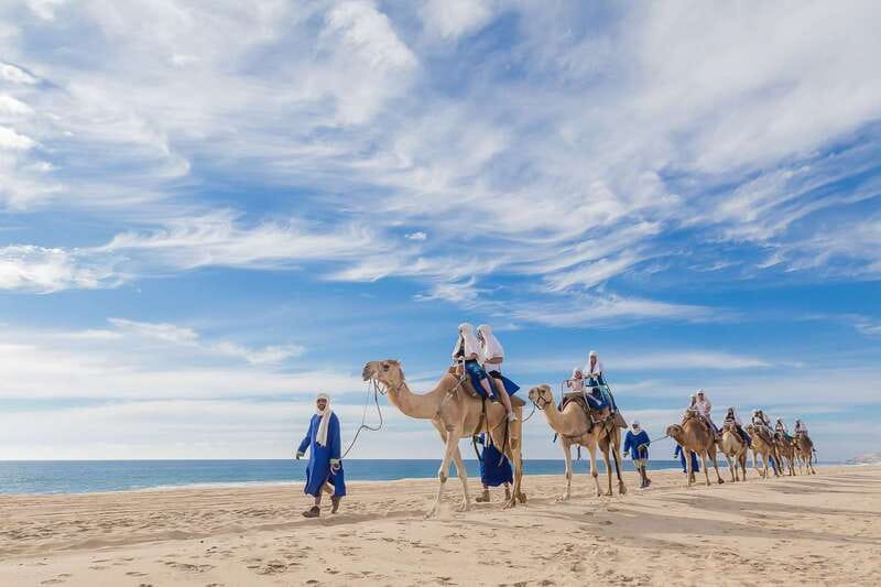 Cabo San Lucas: Camel Safari Tour with Lunch and Tequila - Key points at a glance
