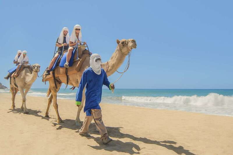 Cabo San Lucas: Camel Safari Tour with Lunch and Tequila - Starting from Cabo, then heading into the desert