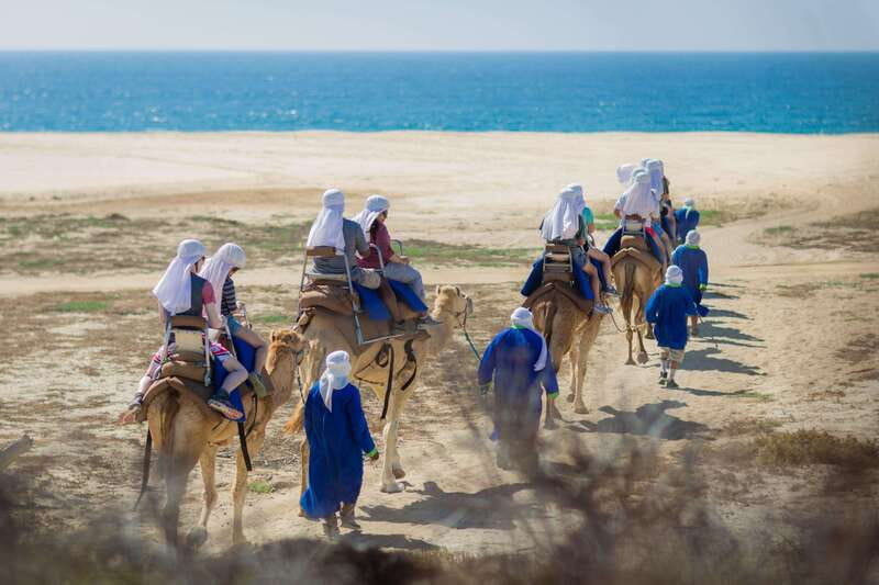 Cabo San Lucas: Camel Safari Tour with Lunch and Tequila - The 20-minute camel ride beside the Pacific