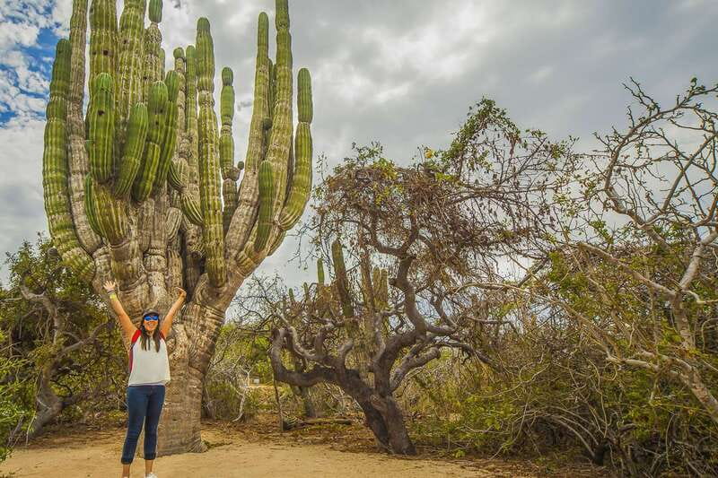 Cabo San Lucas: Camel Safari Tour with Lunch and Tequila - Is the $99 price good value?