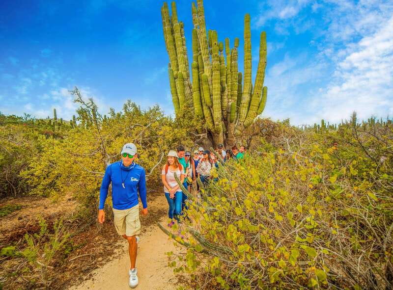 Cabo San Lucas: Camel Safari Tour with Lunch and Tequila - What to pack, and what to leave behind