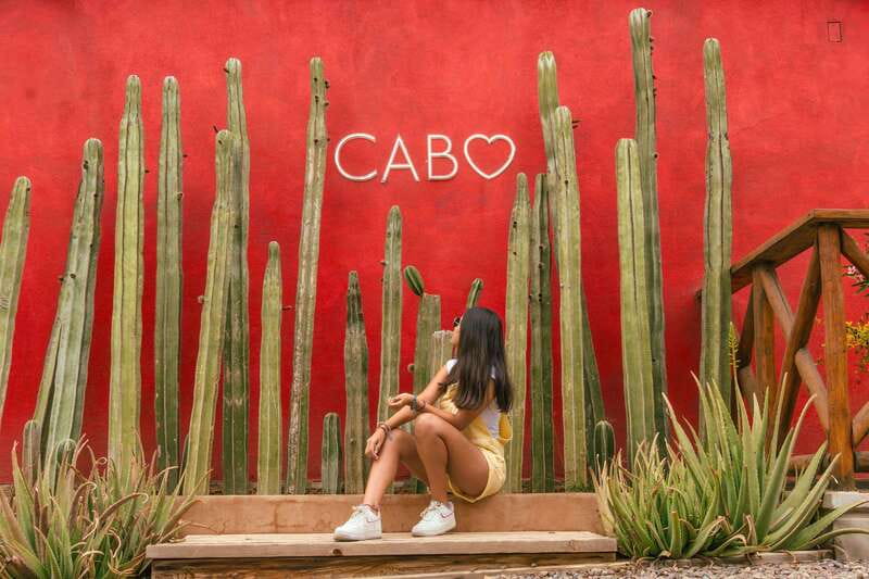 Cabo San Lucas: Camel Safari Tour with Lunch and Tequila - A short hike through Cabo’s coastal desert