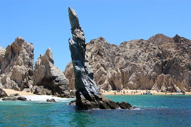 Cabo San Lucas city tour and amazing sea adventure to Lands End! - Key points to know before booking