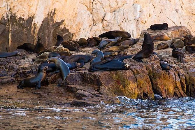 Cabo San Lucas city tour and amazing sea adventure to Lands End! - The marina fees need clearer planning