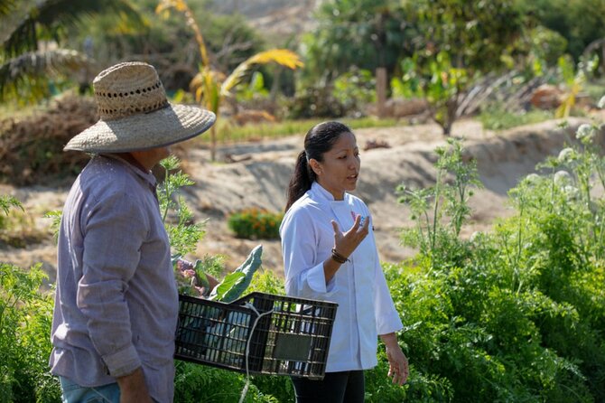 Cabo San Lucas Cooking Classes by Chef Ari - How the class works for different group sizes